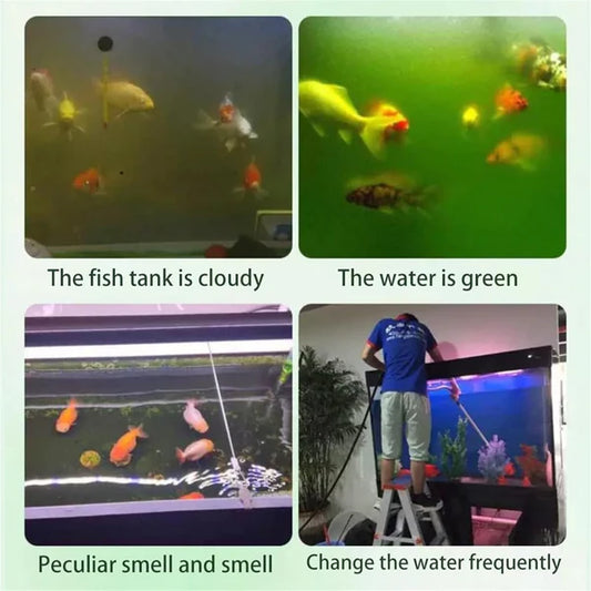 Aquarium Water Purification Tablets – Clean Your Fish Tank Today