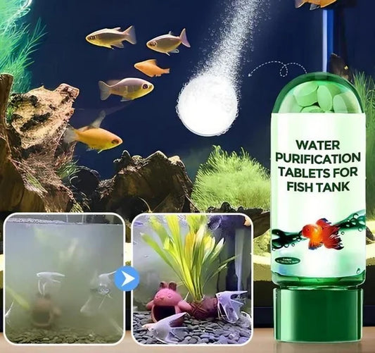 Aquarium Water Purification Tablets – Clean Your Fish Tank Today